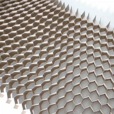 Paper honeycomb mesh